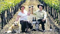 Organic Recipes