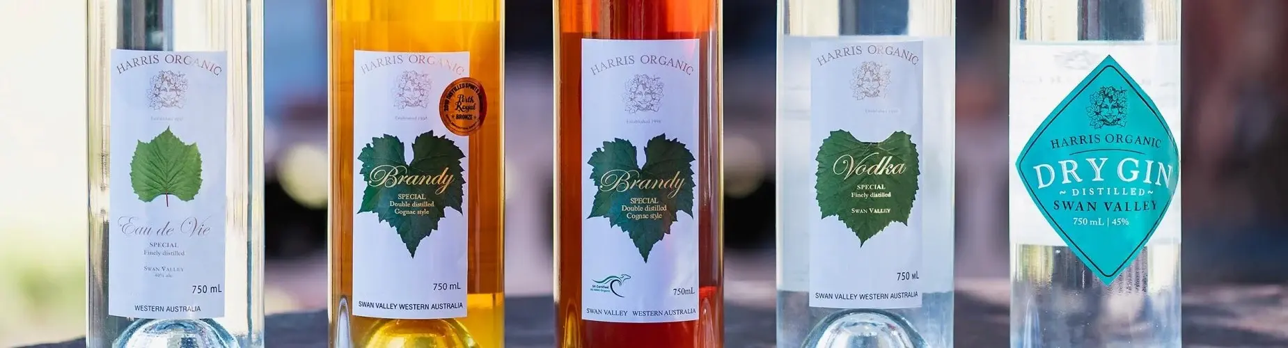 Organic Spirit Slide