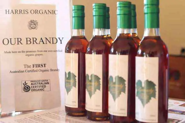 Organic winemaker